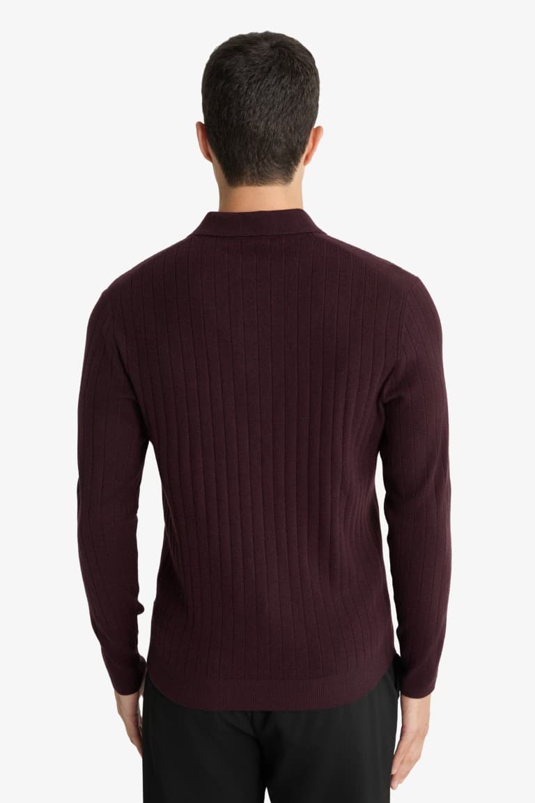 Standard Fit Polo Collar Knit Sweater
