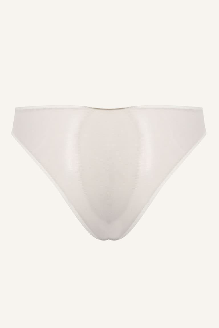 Lace Detailed Tulle Brief Panties Secondary image