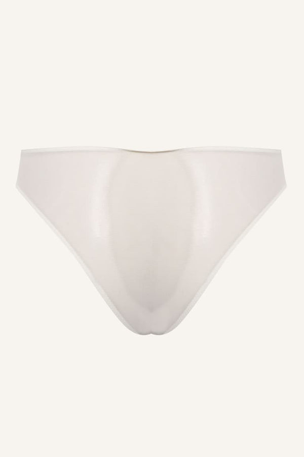 Lace Detailed Tulle Brief Panties