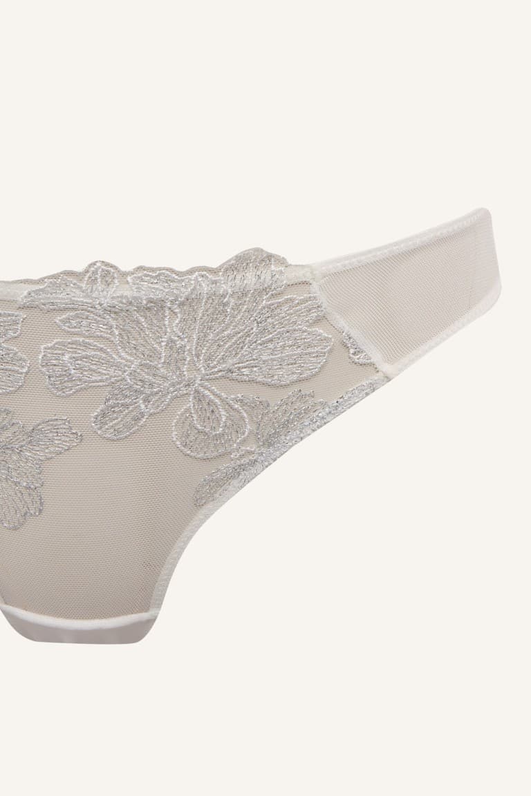 Lace Detailed Tulle Brief Panties