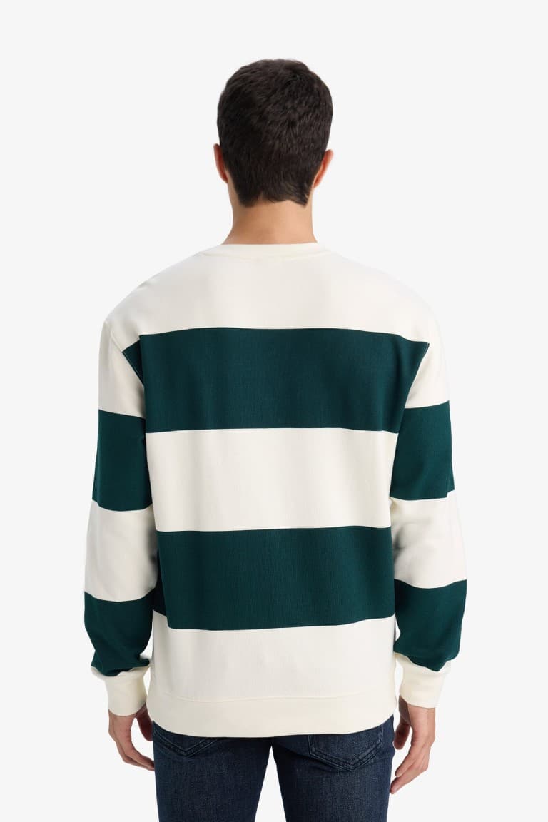 Striped Sweatshirt