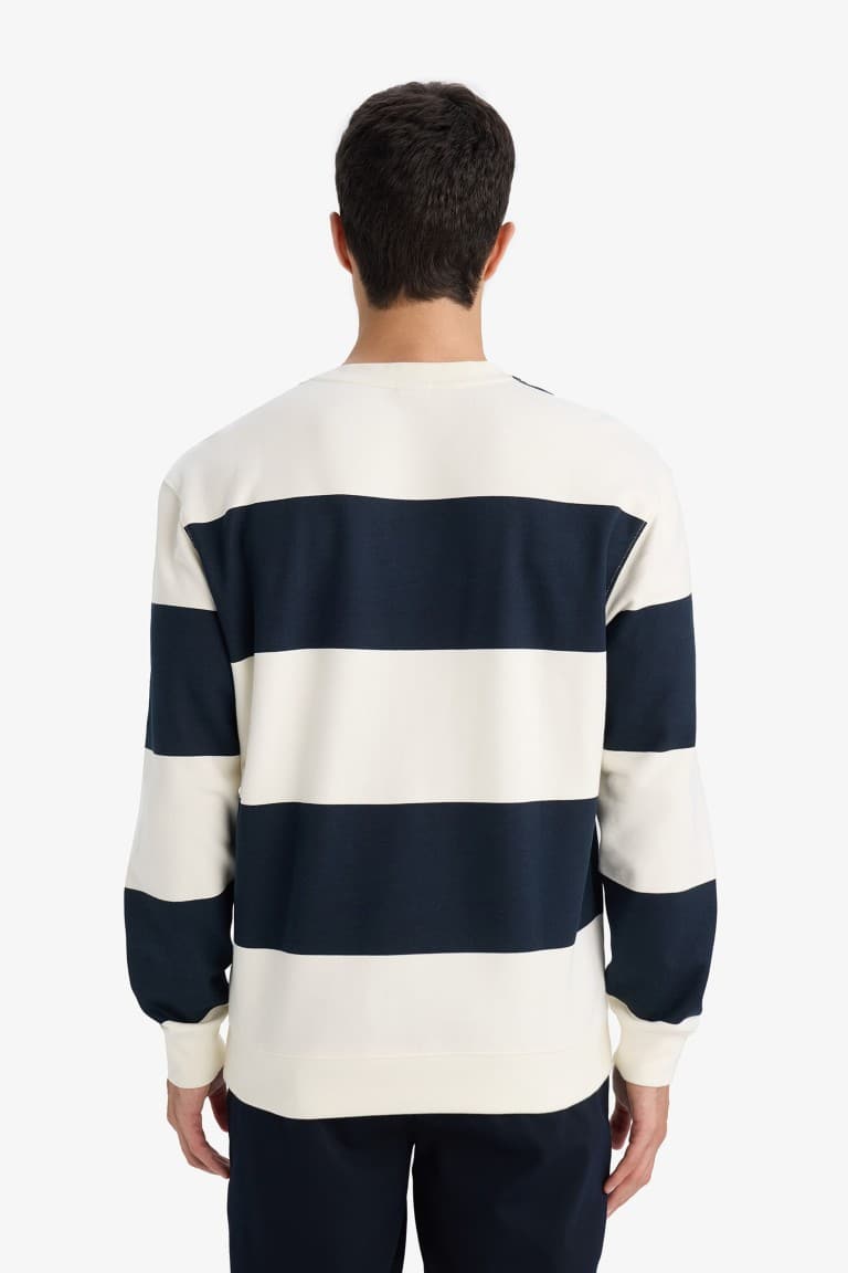 Striped Sweatshirt