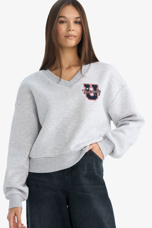 Loose Fit V-Neck Embroidered Sweatshirt