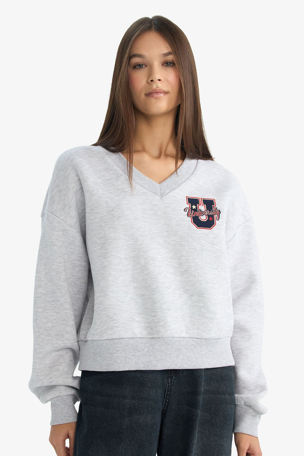 Loose Fit V-Neck Embroidered Sweatshirt