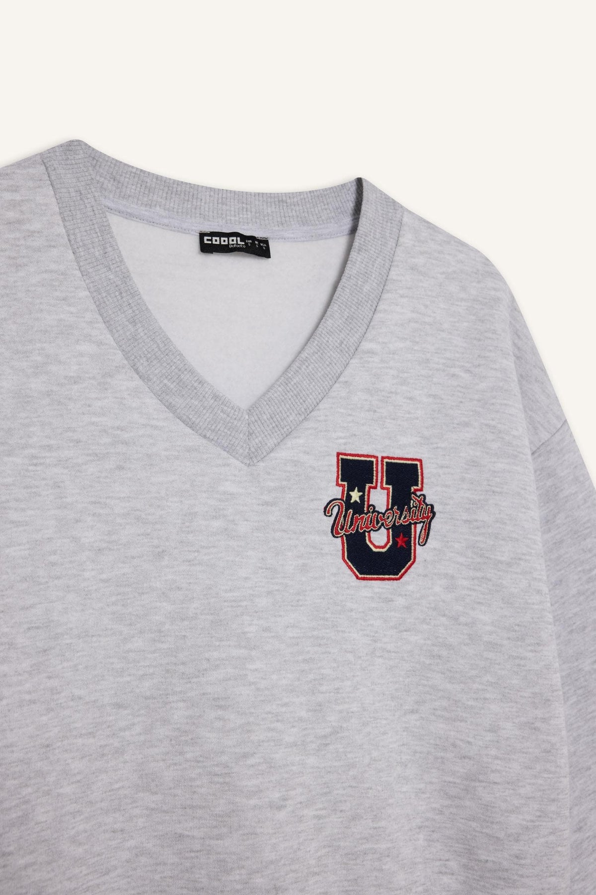 Loose Fit V-Neck Embroidered Sweatshirt