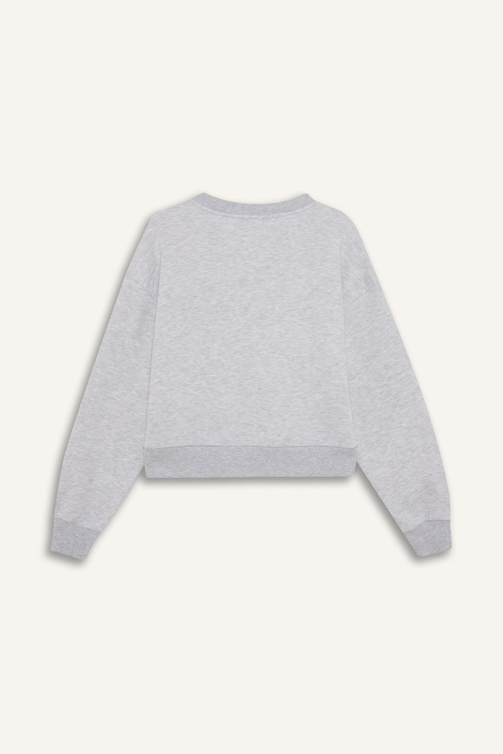 Loose Fit V-Neck Embroidered Sweatshirt