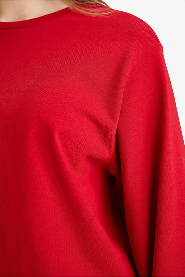 Regular Fit Crew Neck Long Sleeve T-Shirt Tunic
