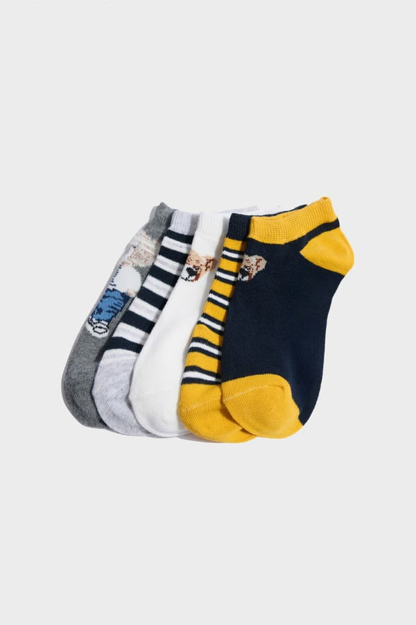 Teddy Bear 5 Pack Cotton Booties Socks Boy