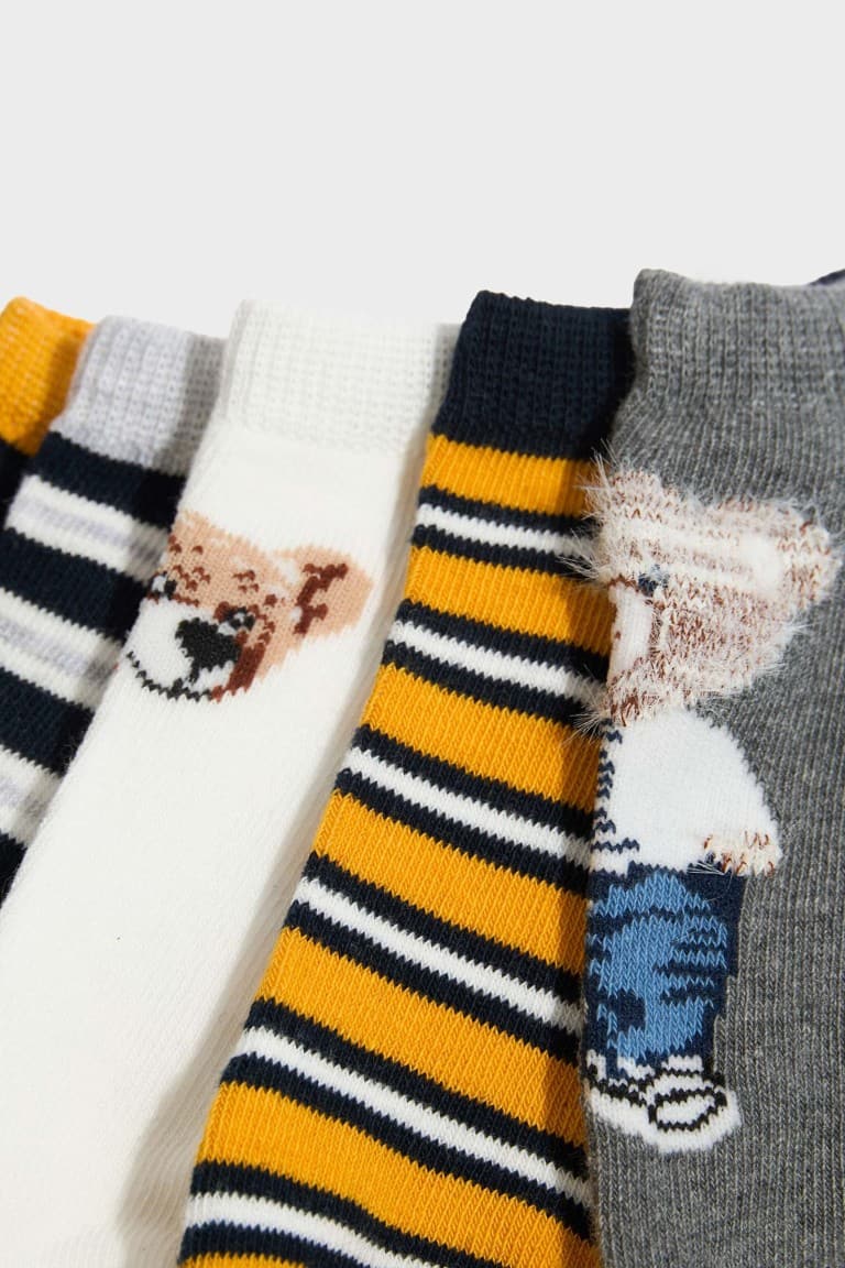 Teddy Bear 5 Pack Cotton Booties Socks Boy