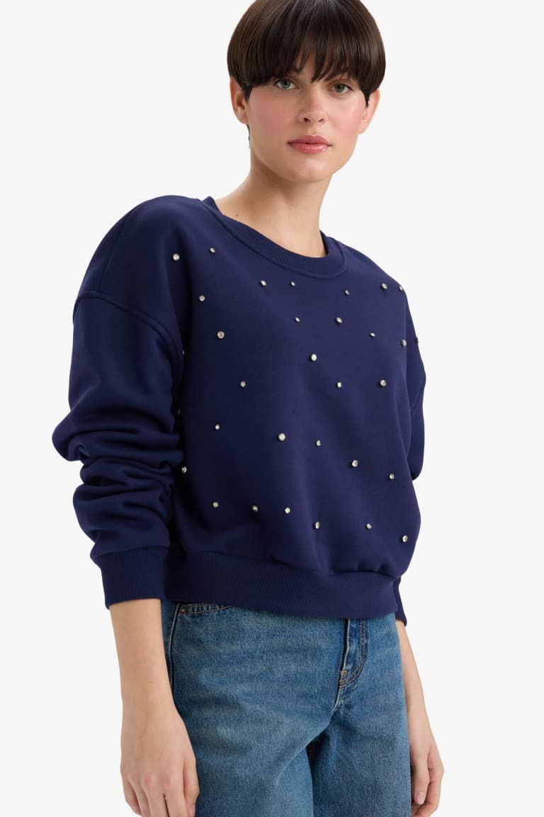 Boxy Fit Crew Neck Embroidered Thick Sweatshirt Main image
