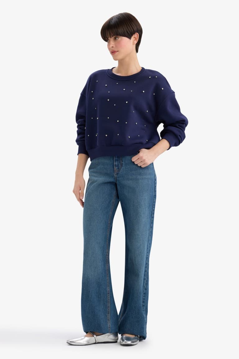 Boxy Fit Crew Neck Embroidered Thick Sweatshirt