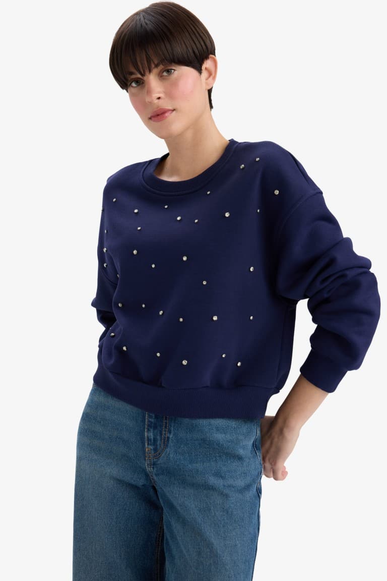 Boxy Fit Crew Neck Embroidered Thick Sweatshirt