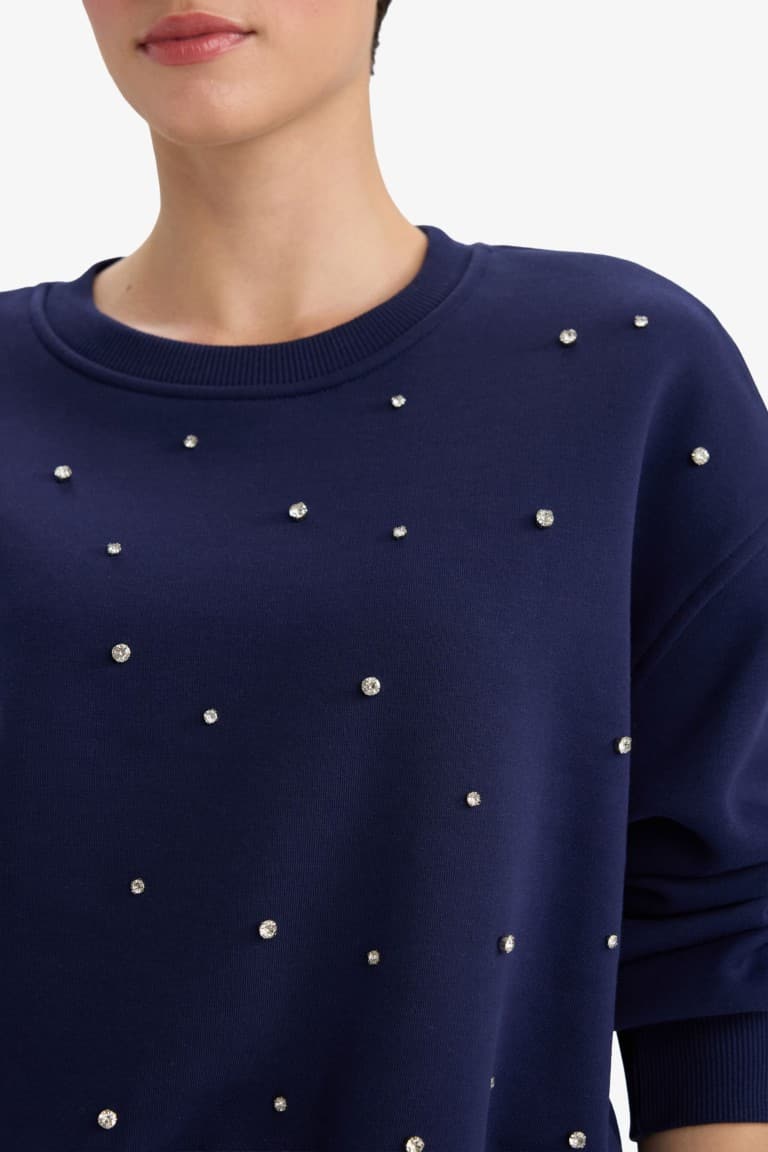 Boxy Fit Crew Neck Embroidered Thick Sweatshirt