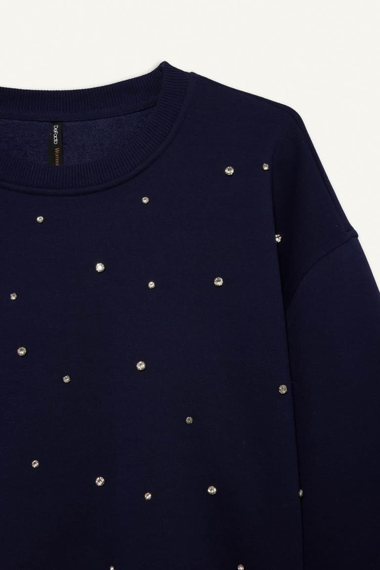 Boxy Fit Crew Neck Embroidered Thick Sweatshirt