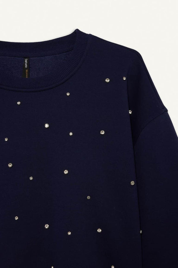 Boxy Fit Crew Neck Embroidered Thick Sweatshirt