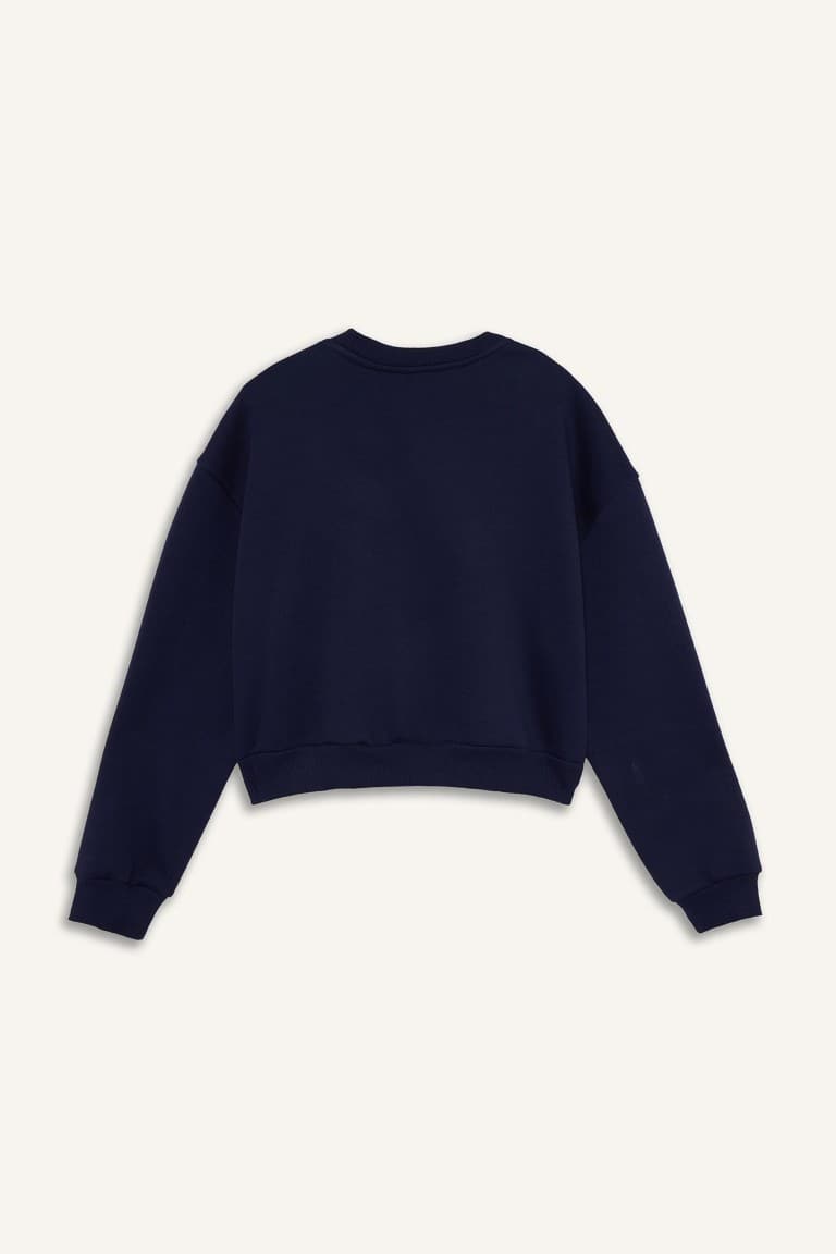 Boxy Fit Crew Neck Embroidered Thick Sweatshirt