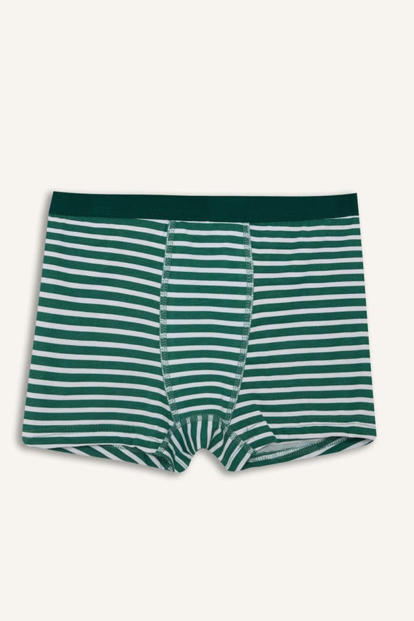 5 Pack Boxer Elastic Waist Boy