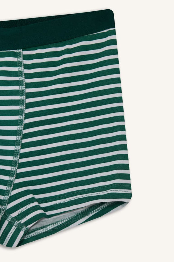5 Pack Boxer Elastic Waist Boy