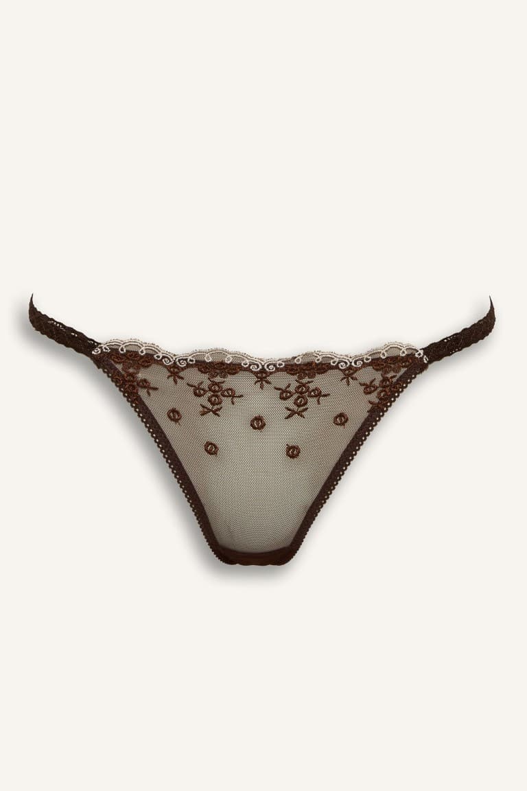Embroidered Lace Detailed Tulle Thong Main image