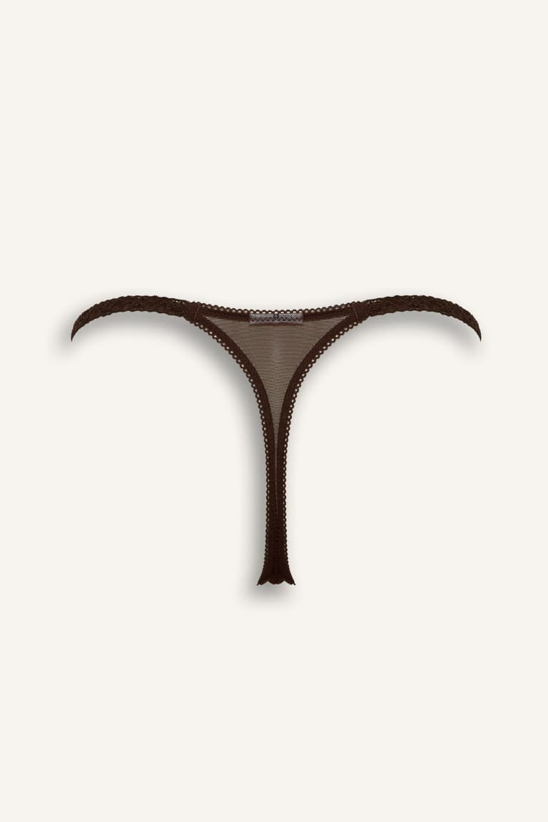 Embroidered Lace Detailed Tulle Thong