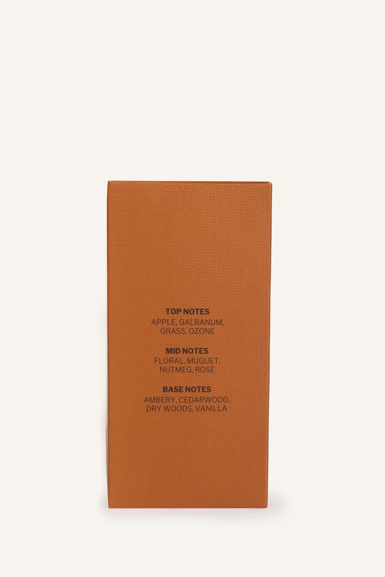 Mens 100 ml Silent Wood Perfume Secondary image