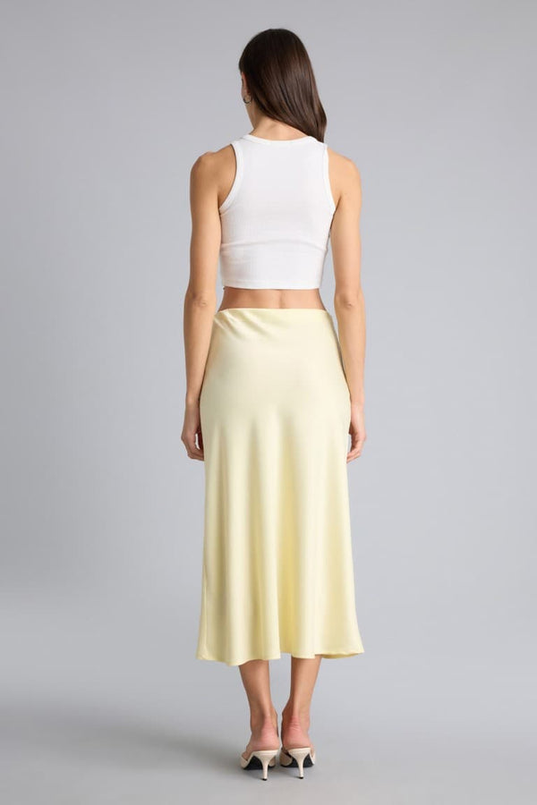 A Line Regular Waist Satin Skirt