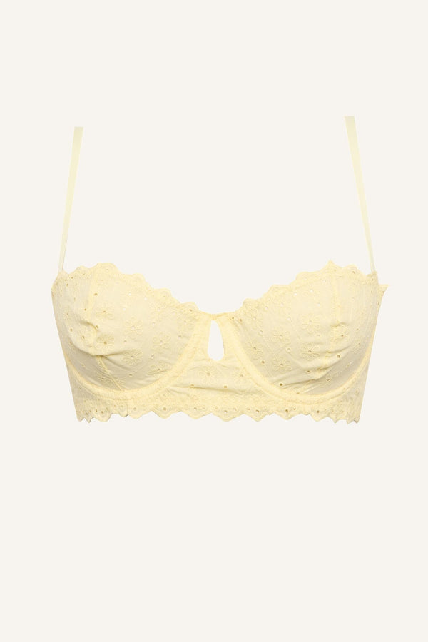 Embroidery Covered Pad Underwire Bra