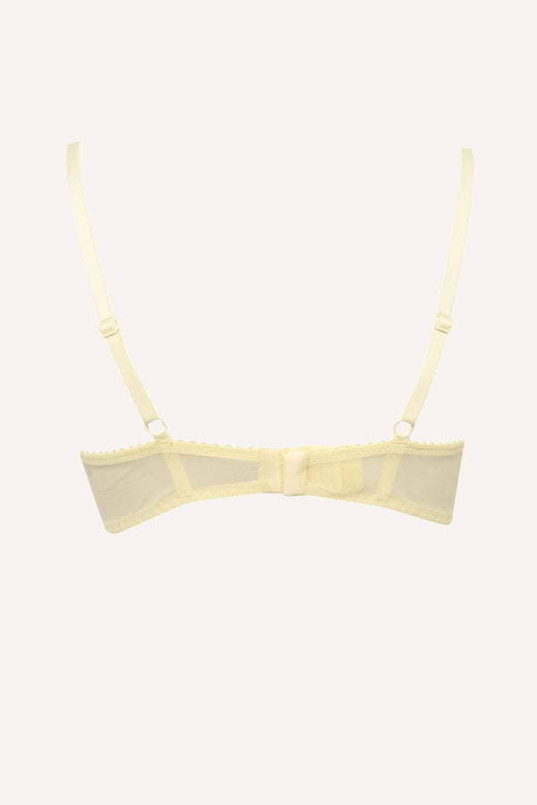 Embroidery Covered Pad Underwire Bra