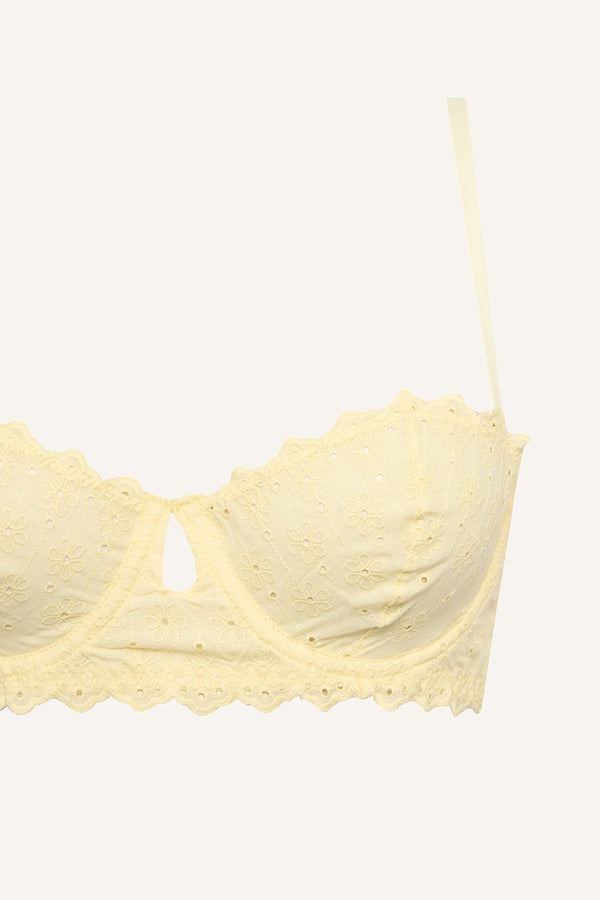 Embroidery Covered Pad Underwire Bra