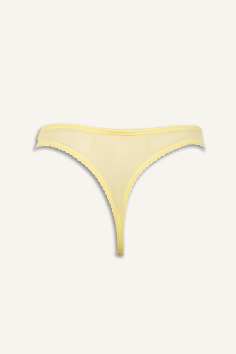 Brode Slip Panties