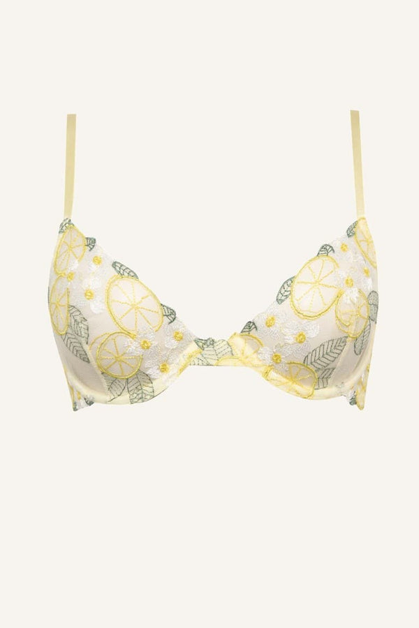 Lace Embroidery Underwire Bra Without Cover Pad