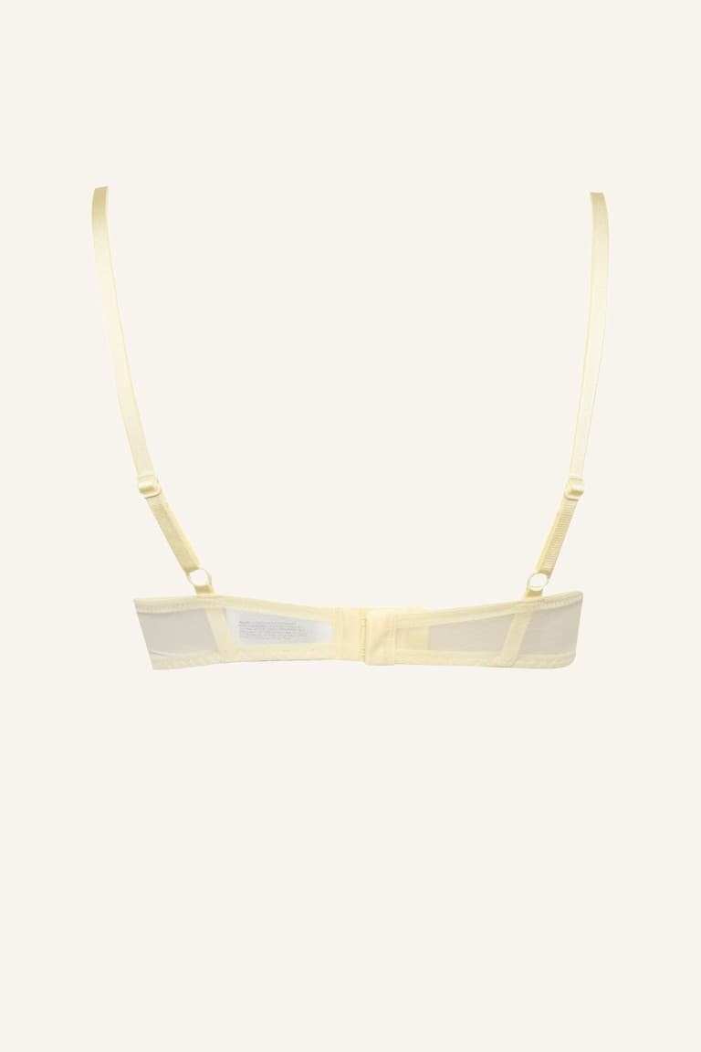 Lace Embroidery Underwire Bra Without Cover Pad