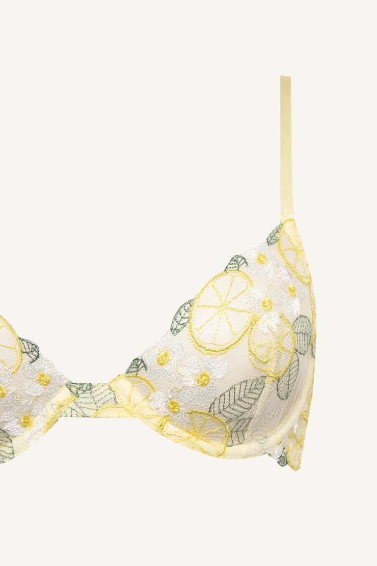 Lace Embroidery Underwire Bra Without Cover Pad