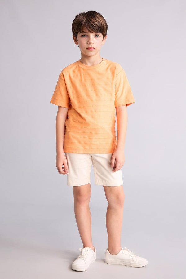 100% Cotton New Regular Crew Neck Short Sleeve Blue T-Shirt Boy