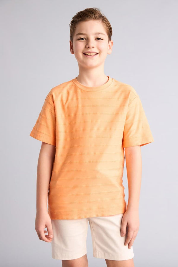 100% Cotton New Regular Crew Neck Short Sleeve Blue T-Shirt Boy