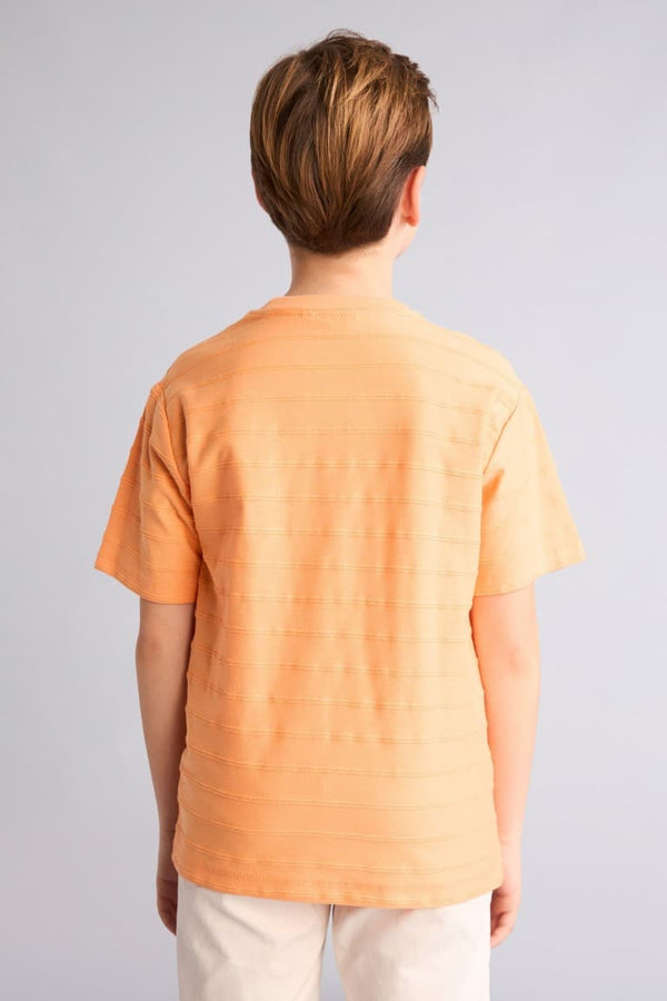 100% Cotton New Regular Crew Neck Short Sleeve Blue T-Shirt Boy