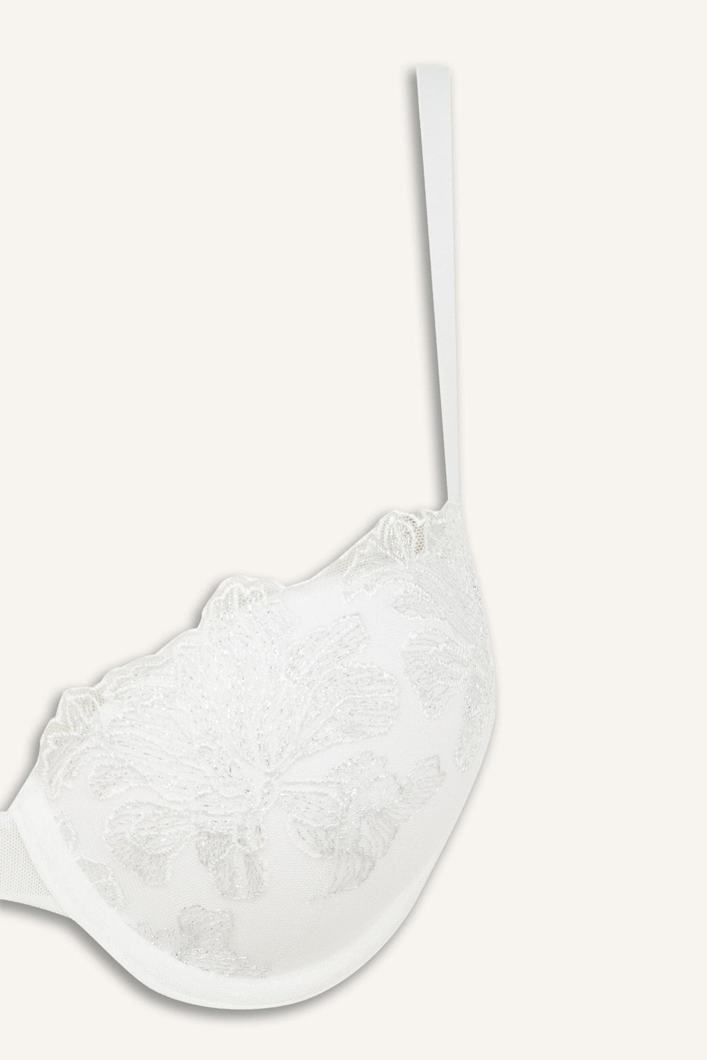Lace Detailed Embroidery Covered Push Up Underwire Ecru Bra