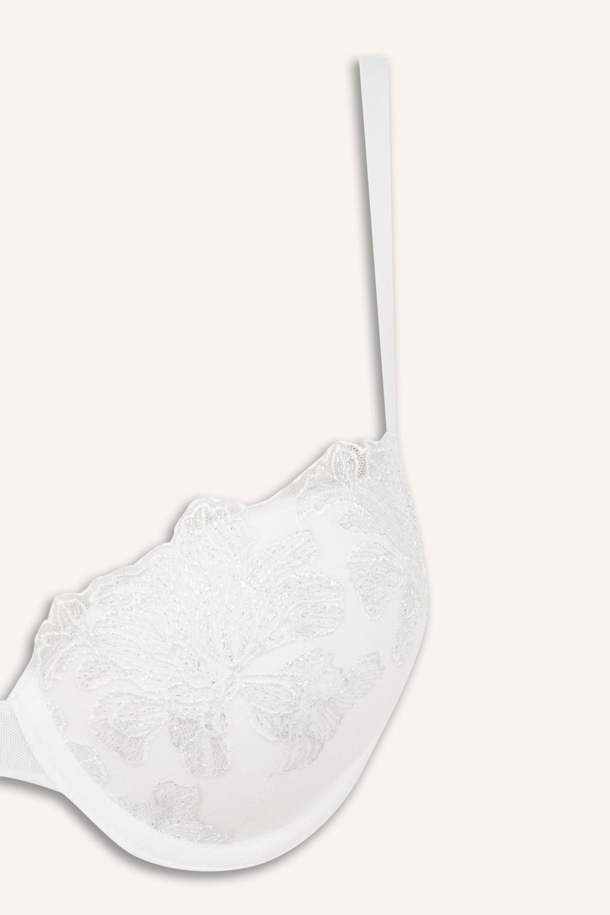 Lace Detailed Embroidery Covered Push Up Underwire Ecru Bra