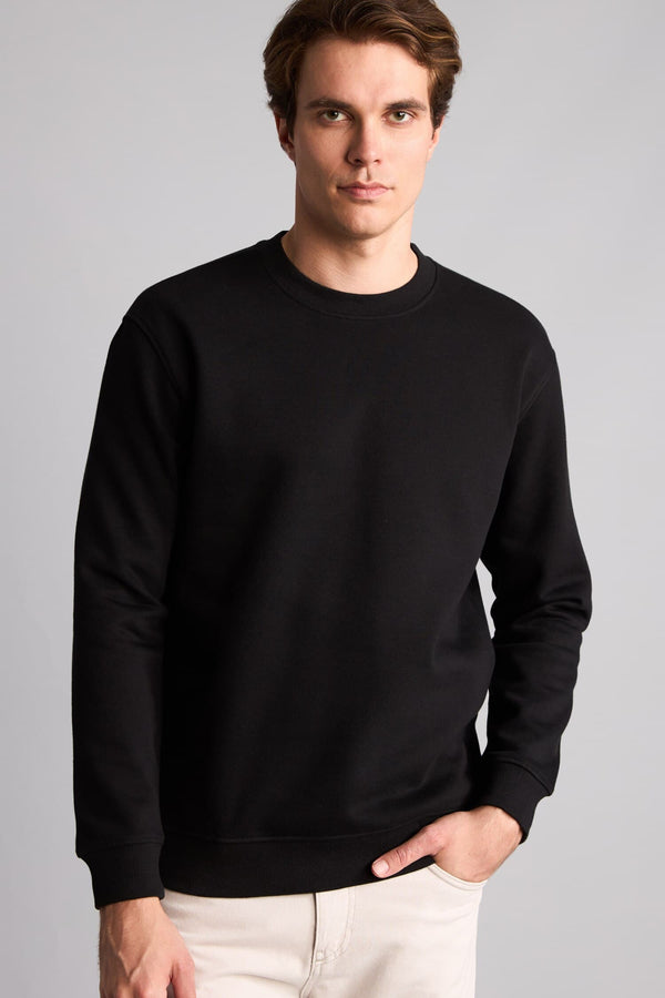 Regular Fit Crew Neck Thick Fabric Sweatshirt