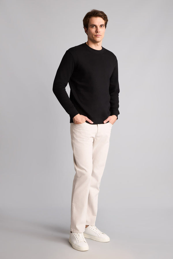 Regular Fit Crew Neck Thick Fabric Sweatshirt