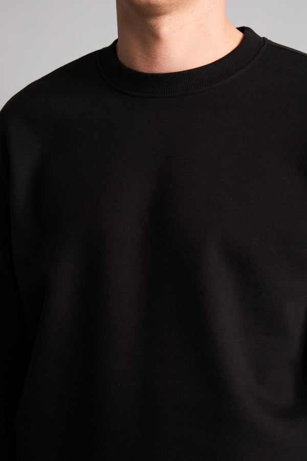 Regular Fit Crew Neck Thick Fabric Sweatshirt
