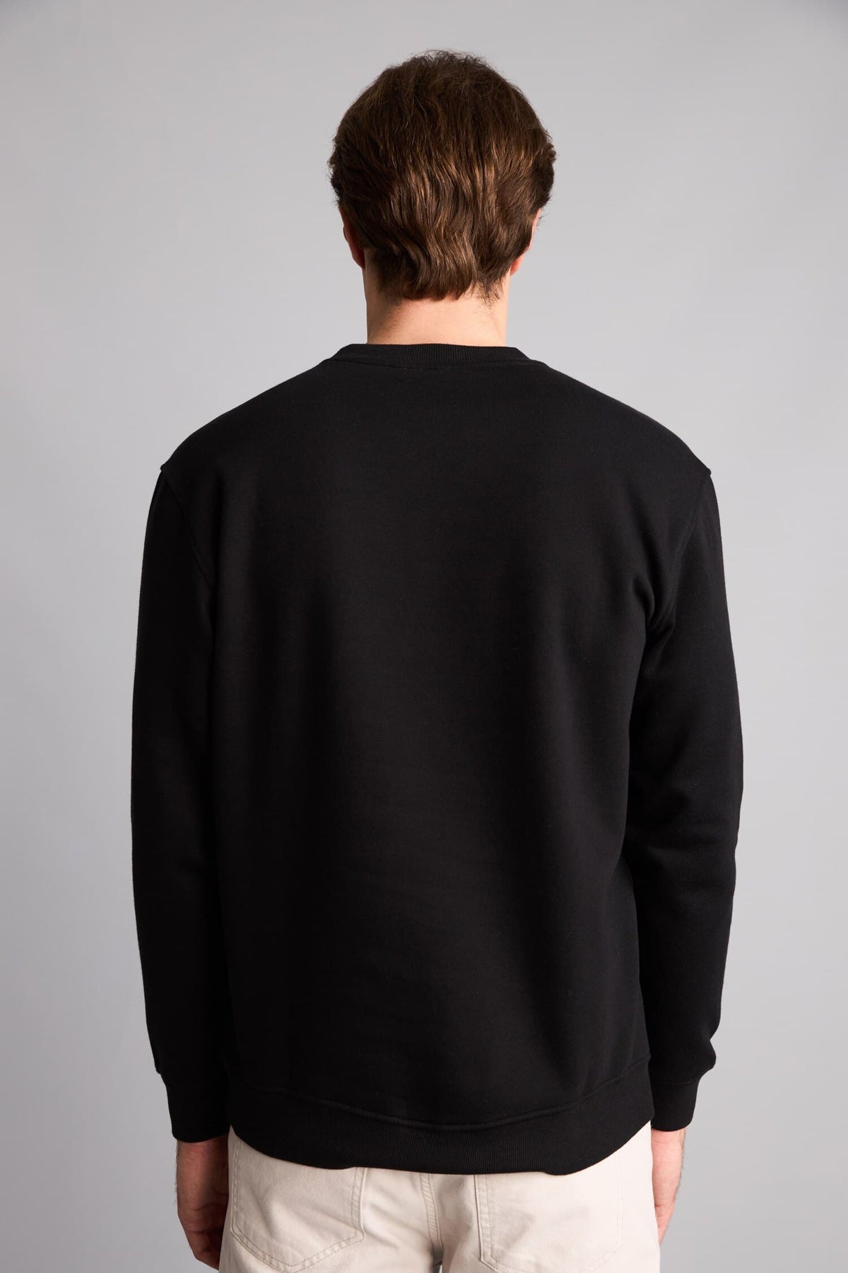 Regular Fit Crew Neck Thick Fabric Sweatshirt