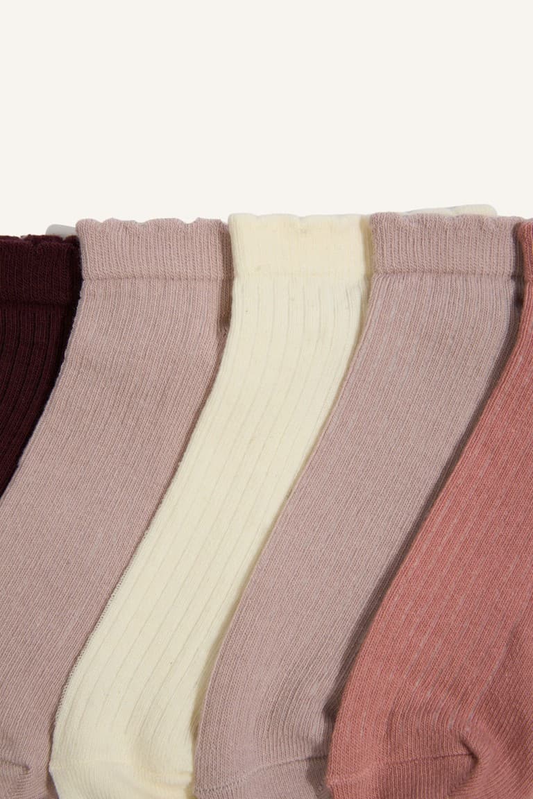 Women 5-Pack Cotton Booties Socks
