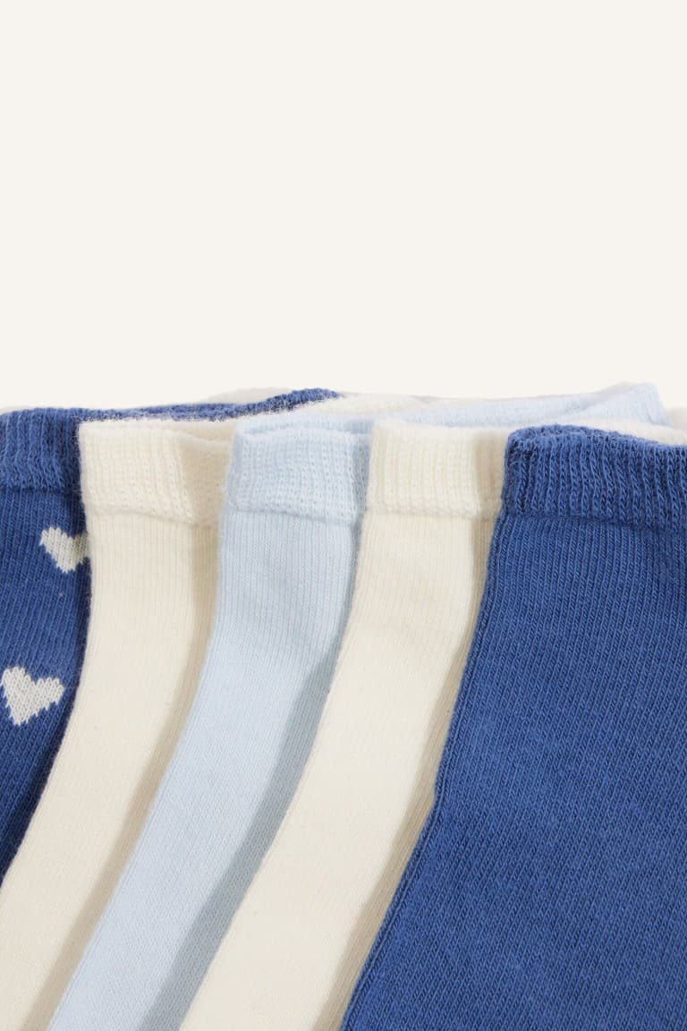 Women 5-Pack Cotton Booties Socks