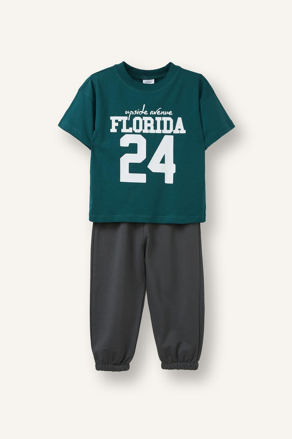 Printed T-Shirt Regular Fit Sweatpants 2 Pcs Boy
