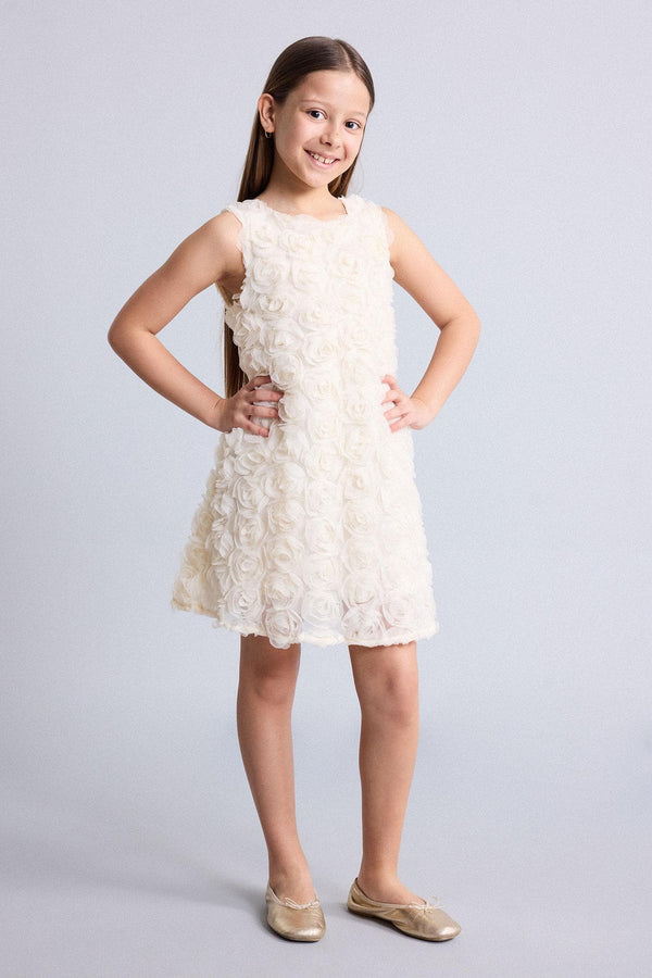 Embossed Rose Applique Sleeveless Dress Girl