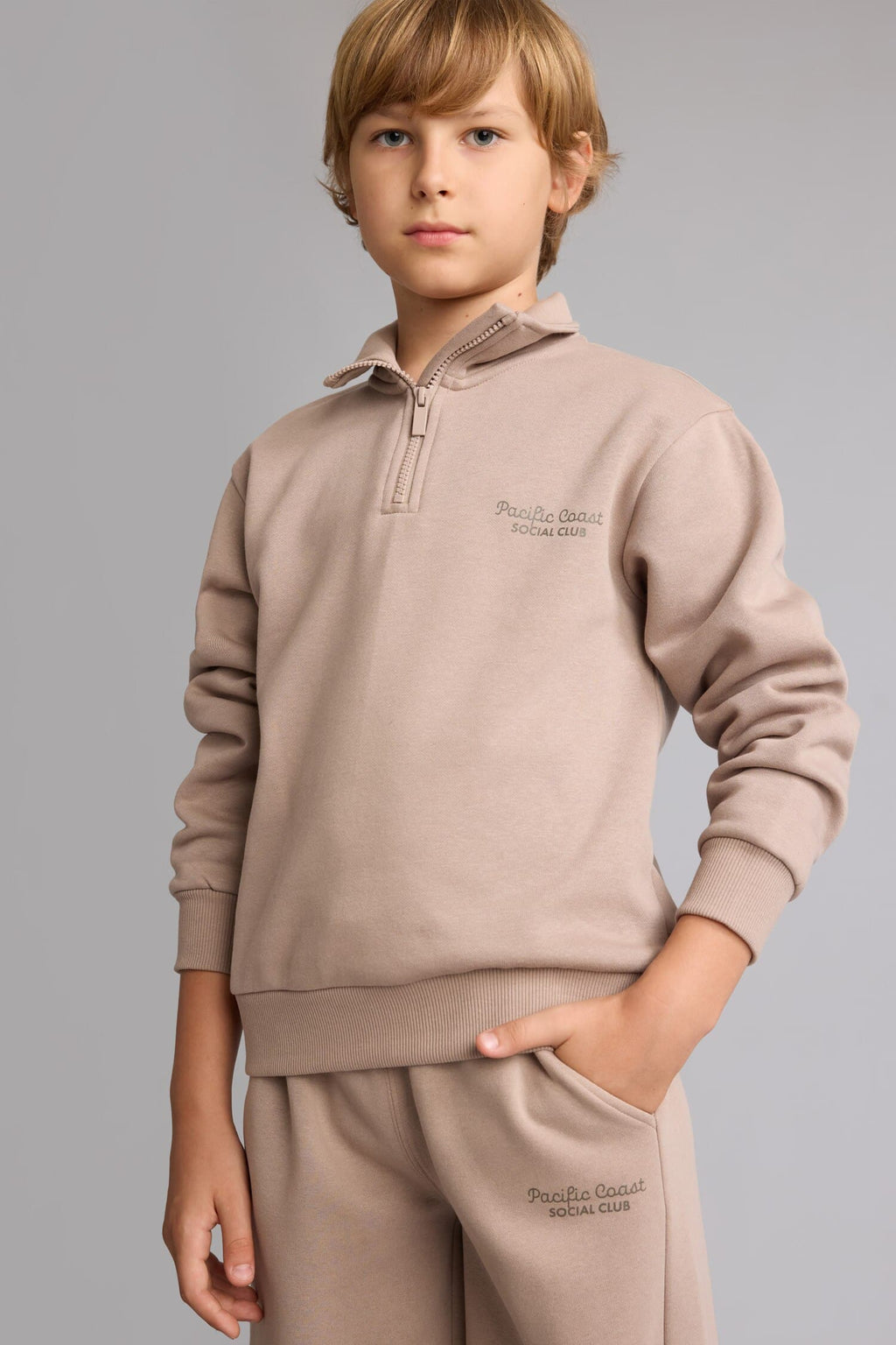 Regular Fit Half Zipper Stand-Up Collar Soft Feather Embroidered Sweatshirt Boys