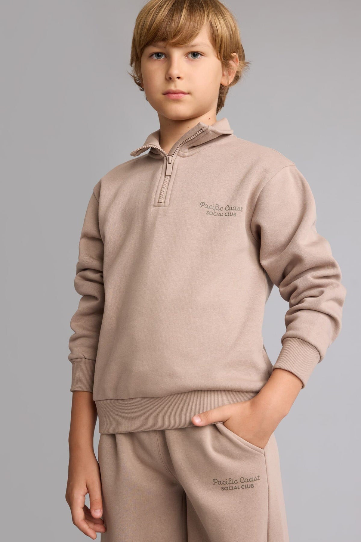 Regular Fit Half Zipper Stand-Up Collar Soft Feather Embroidered Sweatshirt Boys