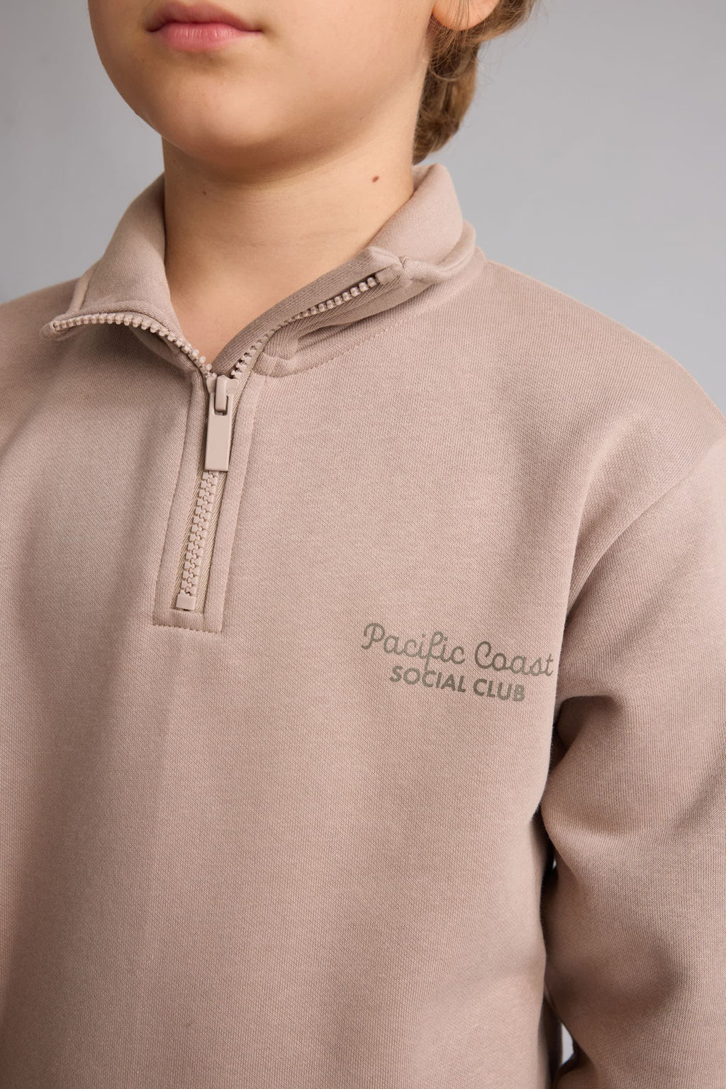 Regular Fit Half Zipper Stand-Up Collar Soft Feather Embroidered Sweatshirt Boys