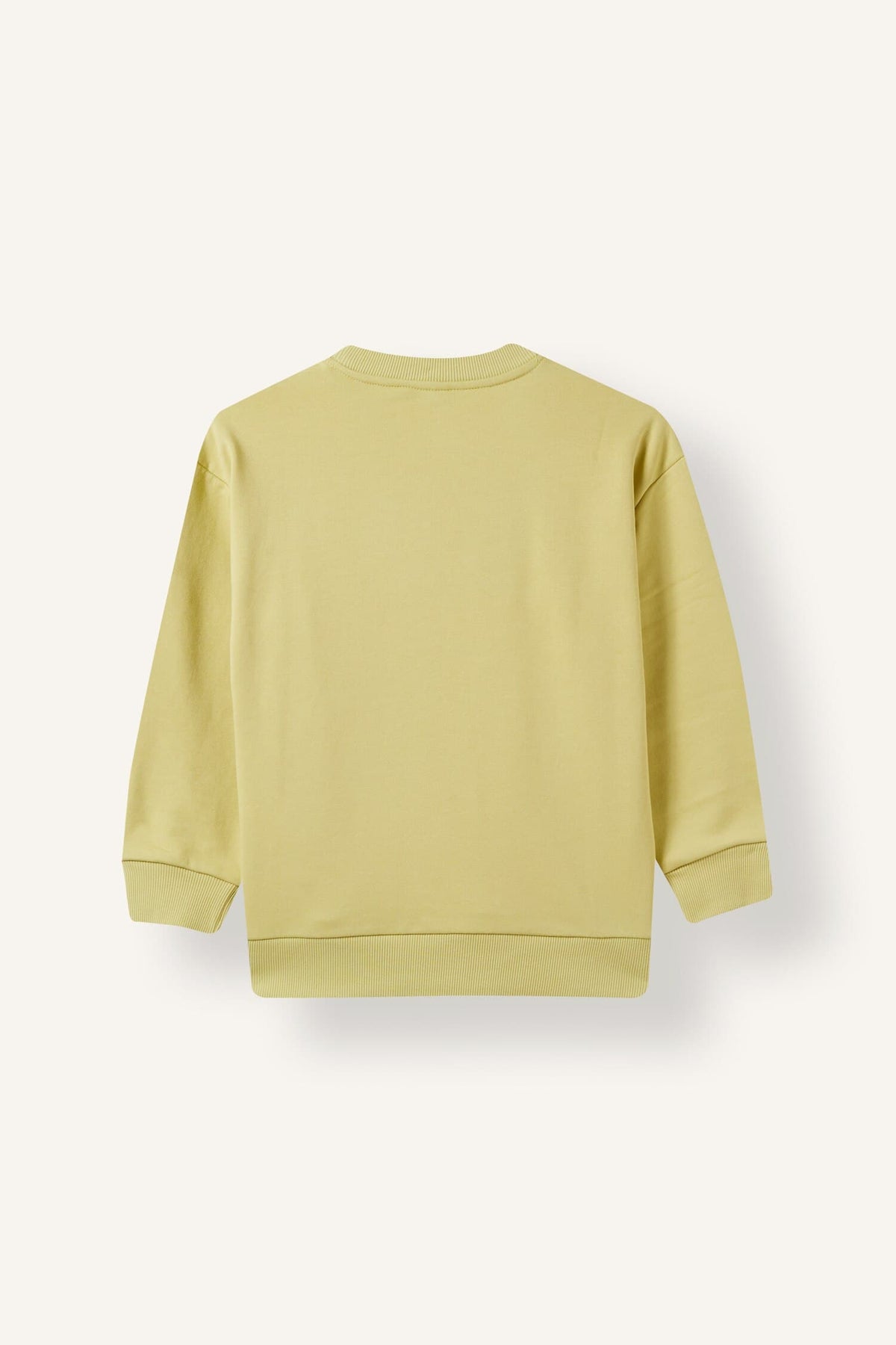 Warm Crew Neck Effect Printed Sweatshirt Boys